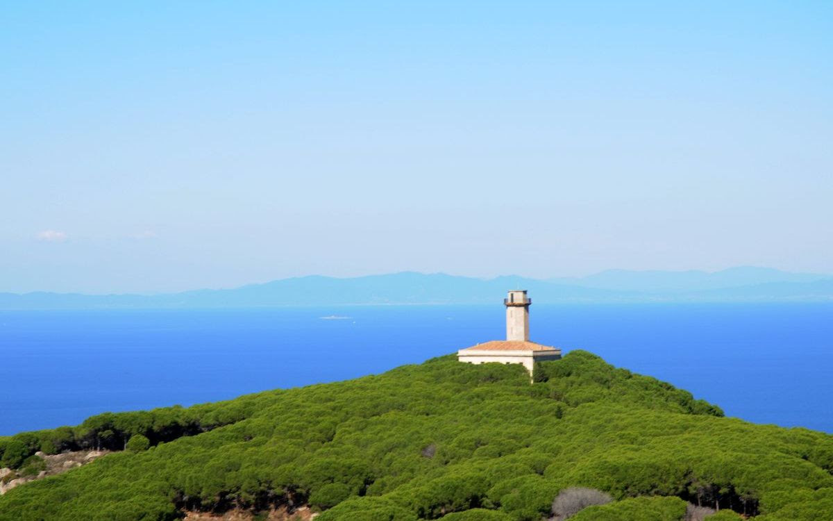 tradizioni agroalimentari faro vaccarecce anci isola del giglio giglionews