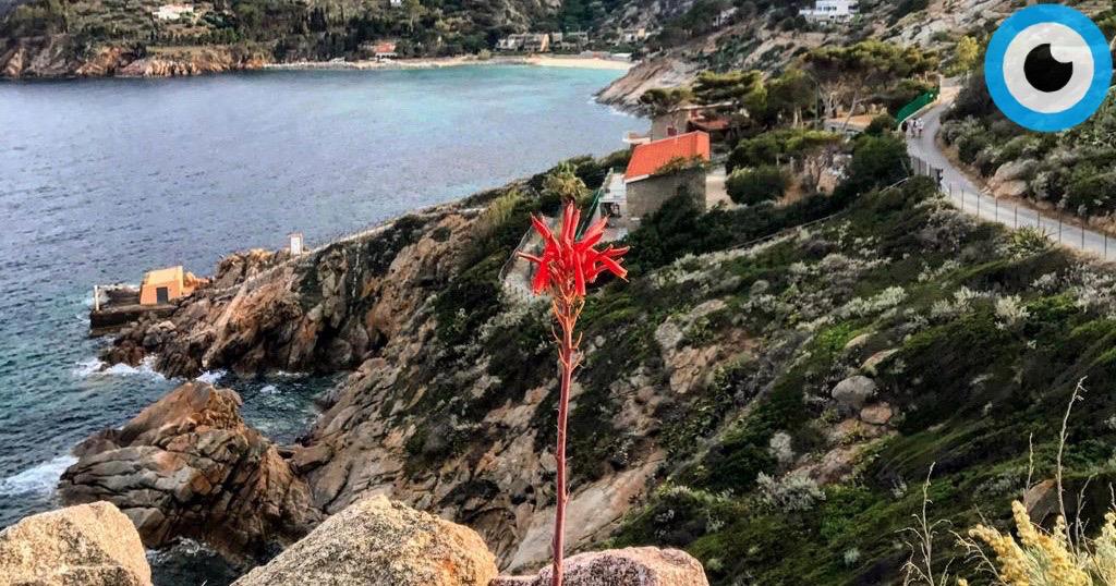 forza e coraggio giuseppe monti quarantena isola del giglio giglionews