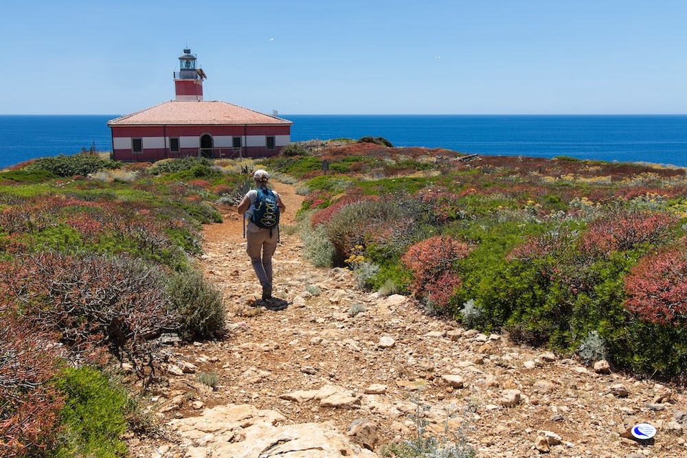 foto_ridi_giannutri250226_1