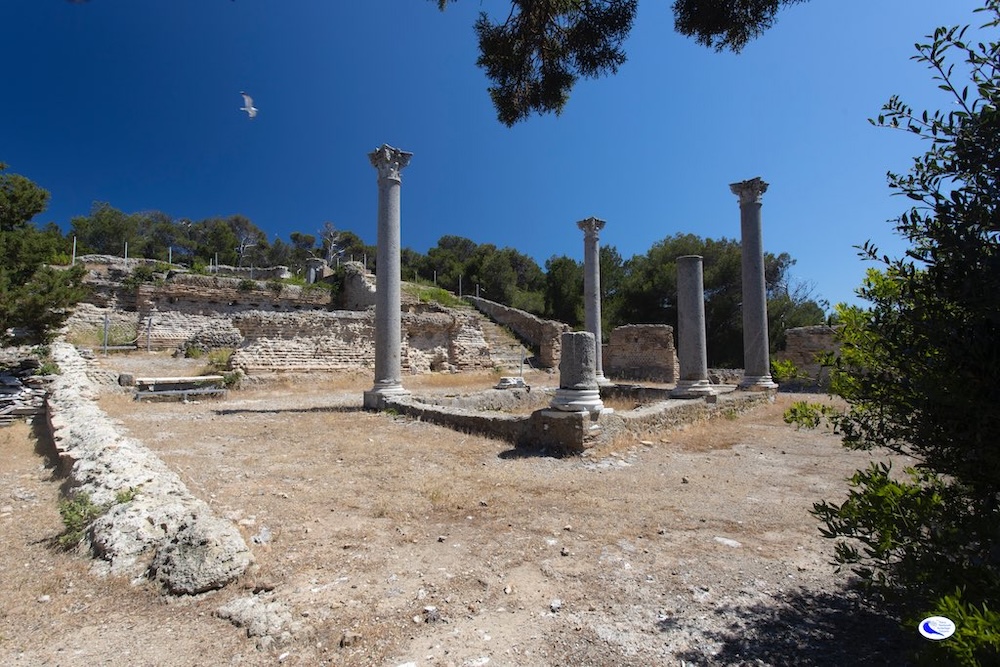 foto_ridi_giannutri250226_2