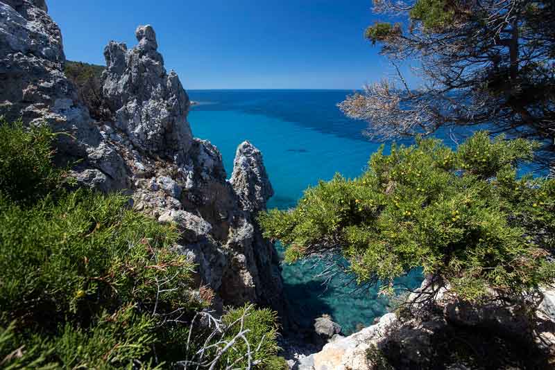 foto ridi parco arcipelago toscano isola del giglio giglionews