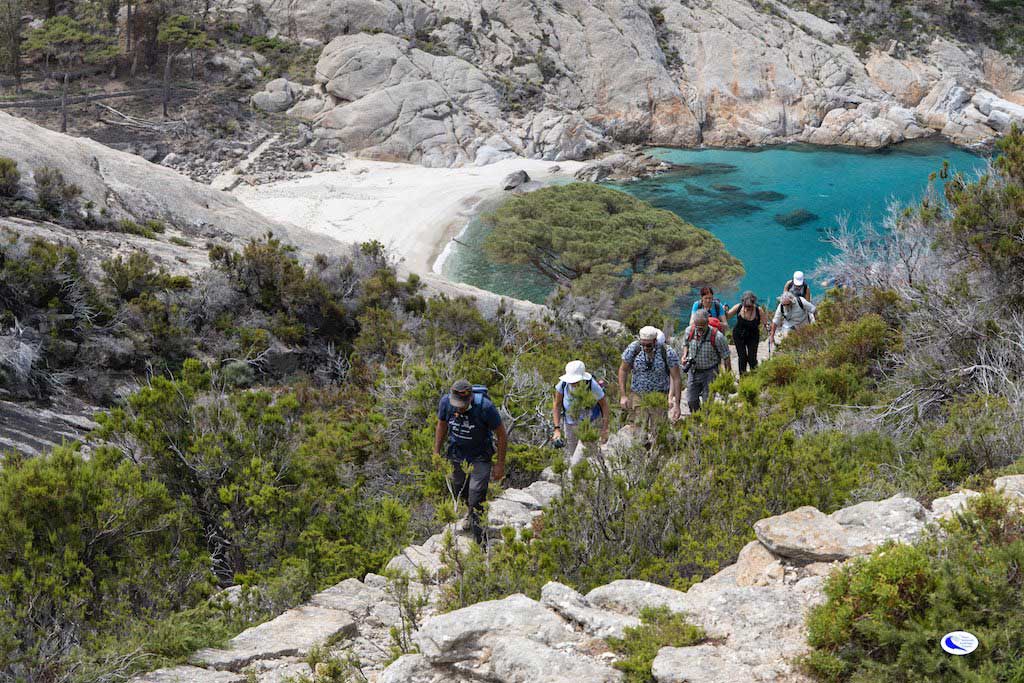 foto ridi montecristo isola del giglio giglionews