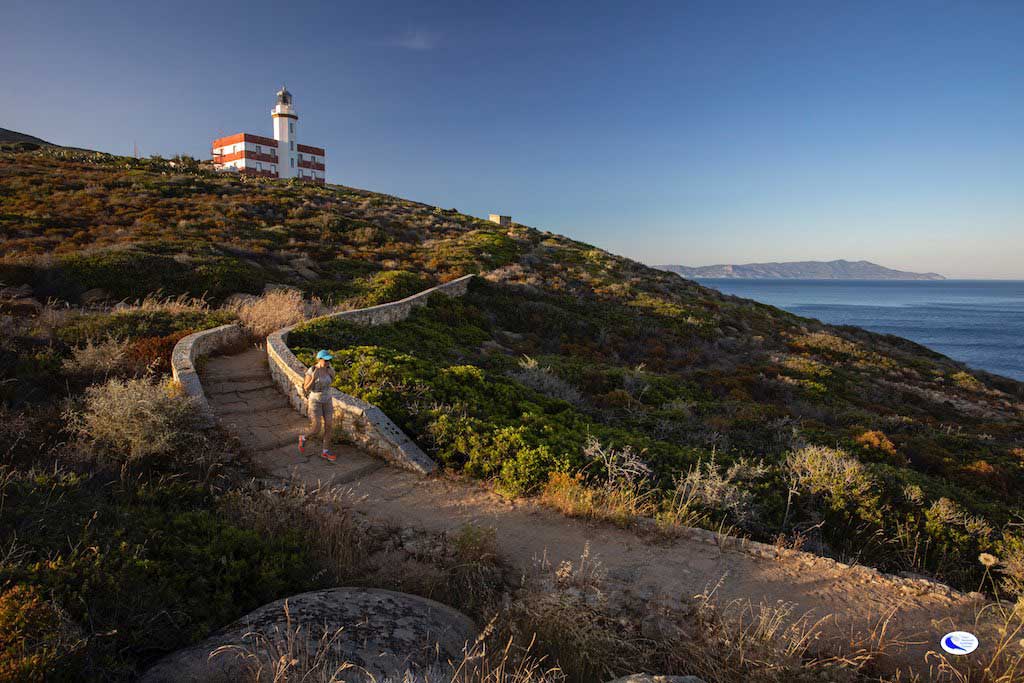 foto ridi parco arcipelago toscano isola del giglio giglionews