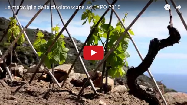 festival del camminare walking parco arcipelago toscano video expo isola del giglio giglionews