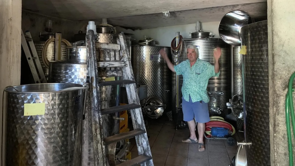 francesco carfagna vignaiolo gambero rosso isola del giglio giglionews