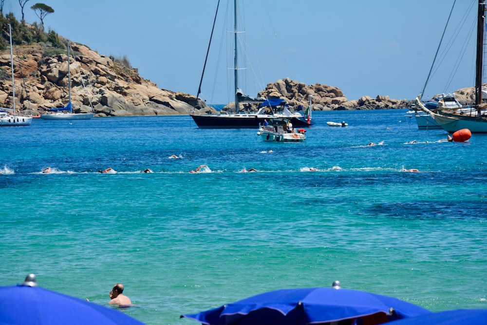 gare di nuoto isola del giglio giglionews