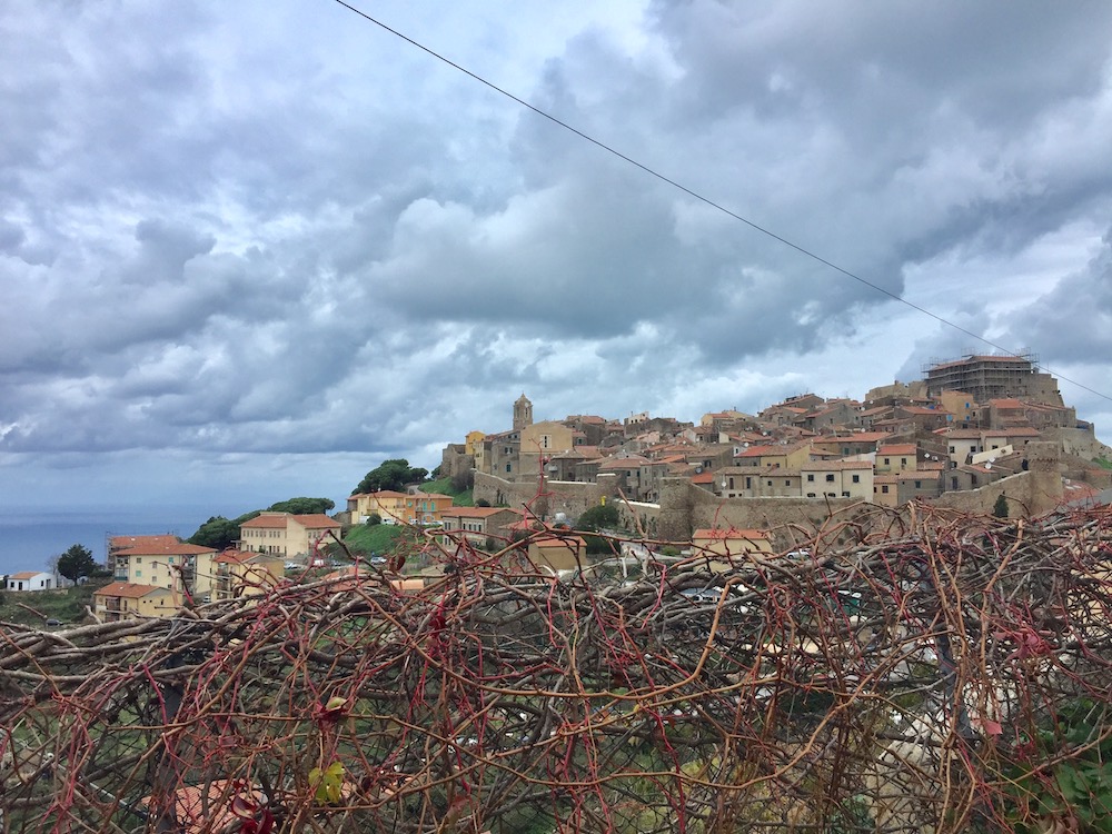 giovanni rum cavatello isola del giglio castello giglionews