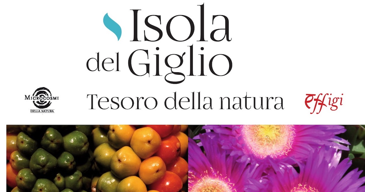 tesoro della natura libro isola del giglio giglionews