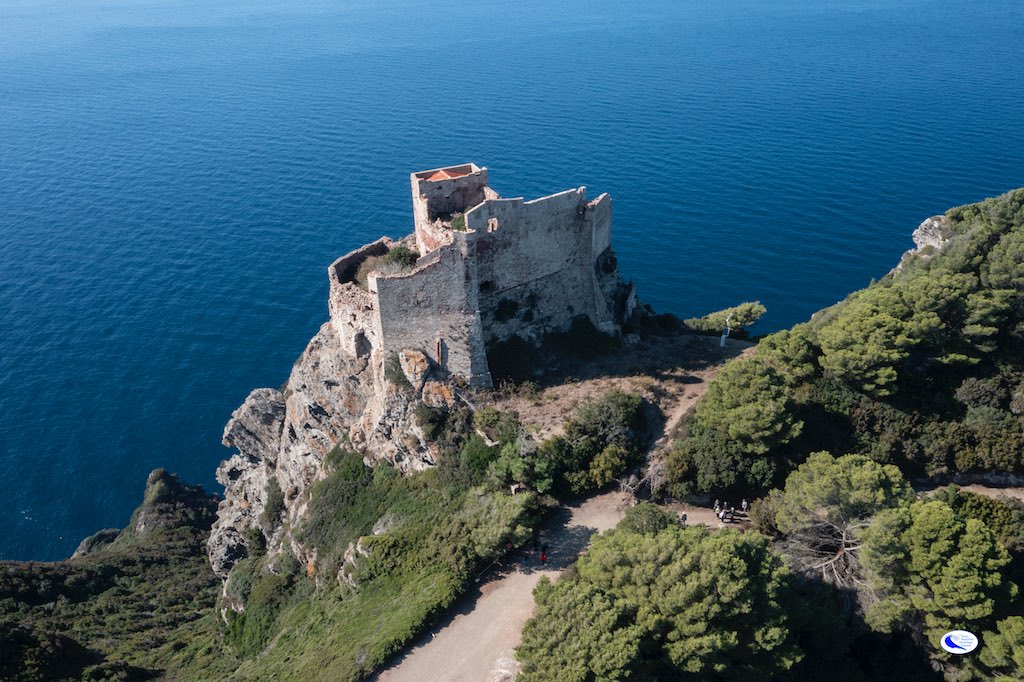 gorgona foto ridi parco arcipelago toscano isola del giglio giglionews