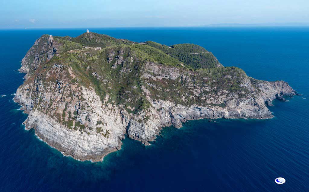 gorgona foto ridi parco arcipelago toscano isola del giglio giglionews
