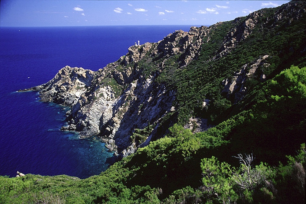 gorgona parco arcipelago toscano isola del giglio giglionews