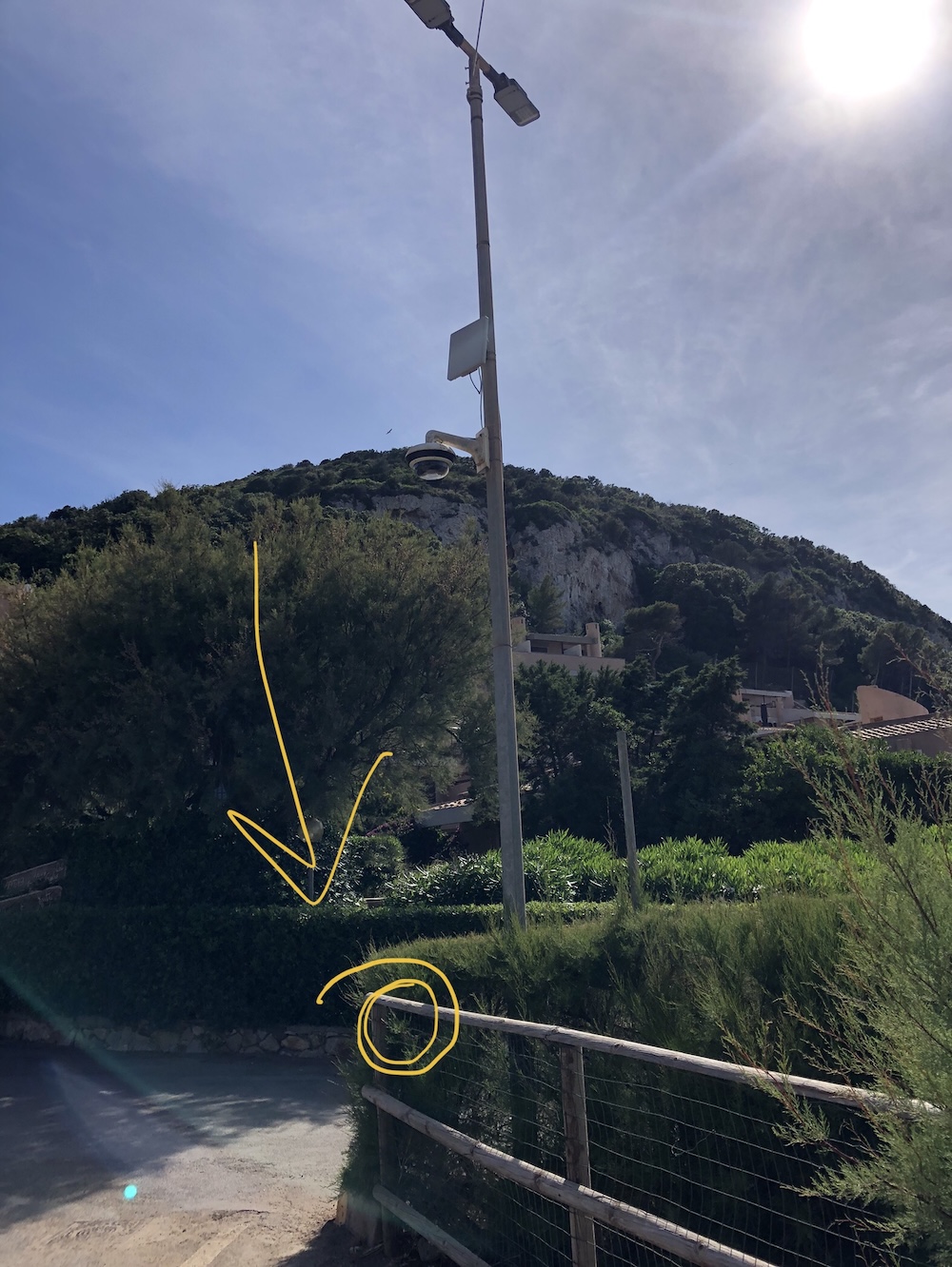 guinzaglio_penelope290525_2