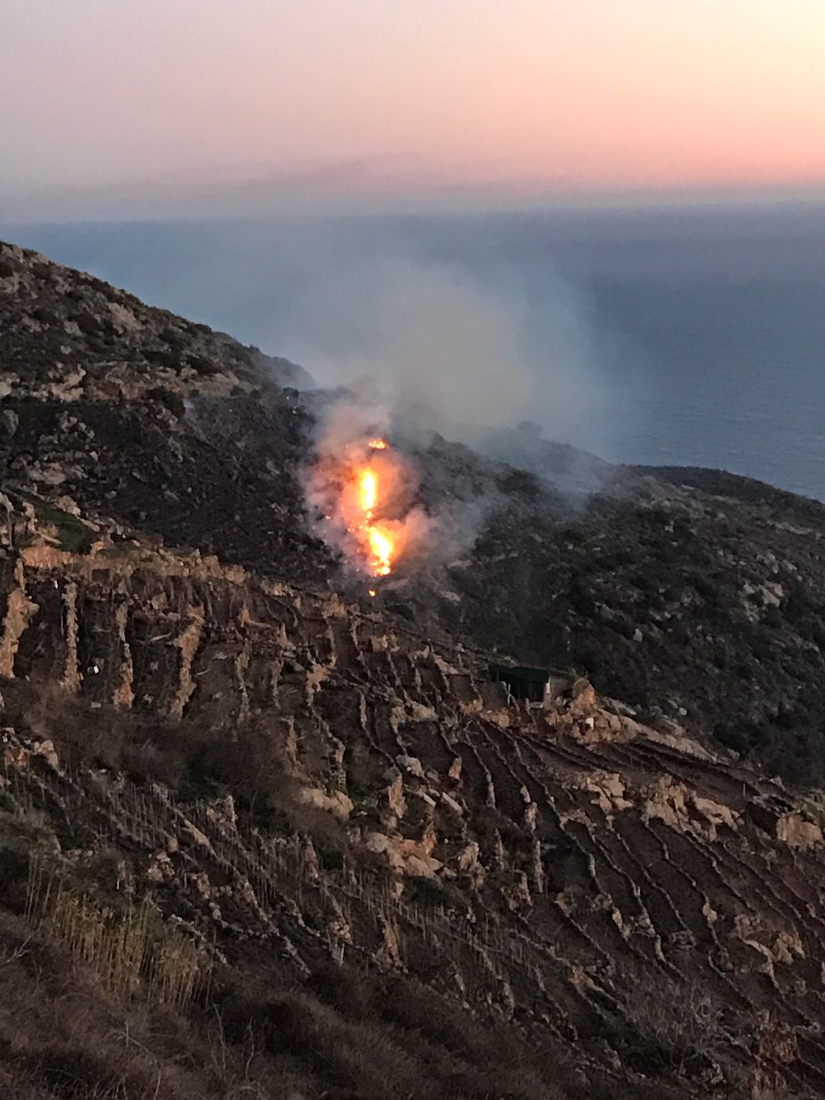 incendio parco isola del giglio giglionews