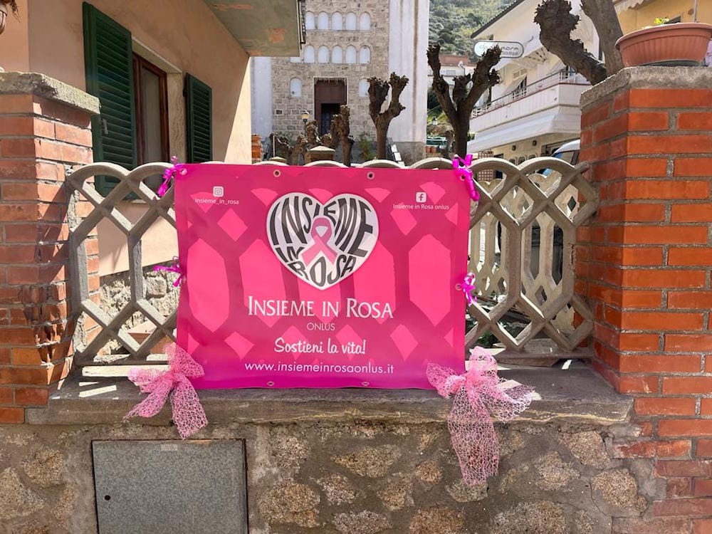 insieme_in_rosa_prevenzione160423_4