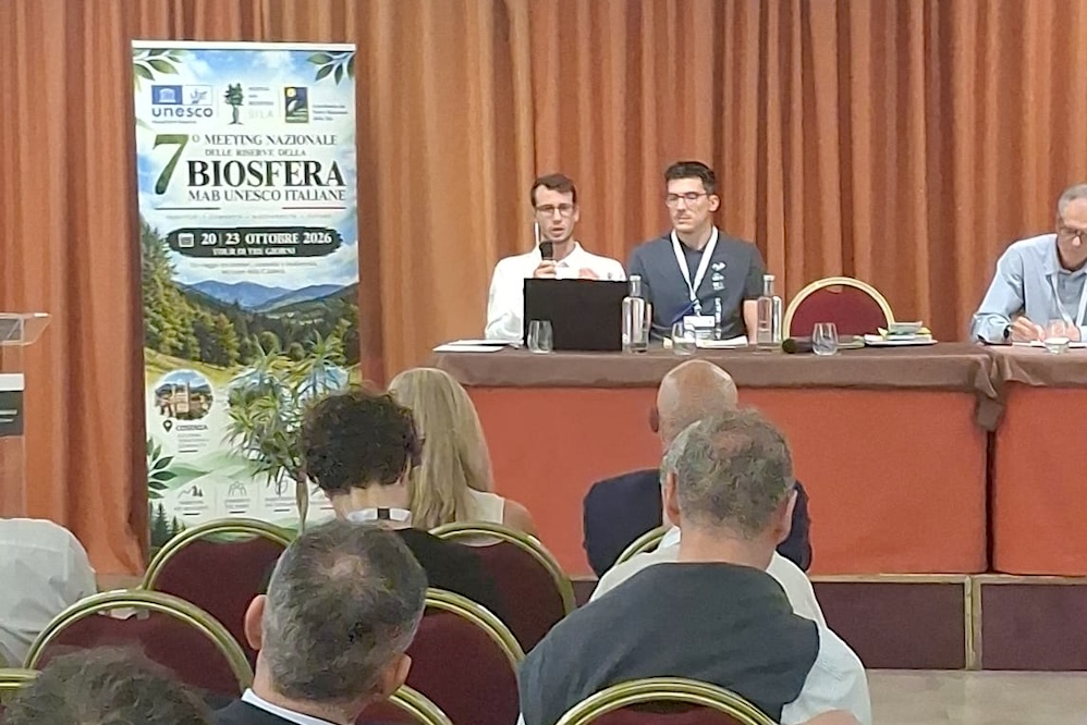 intervento_michele_galeazzi