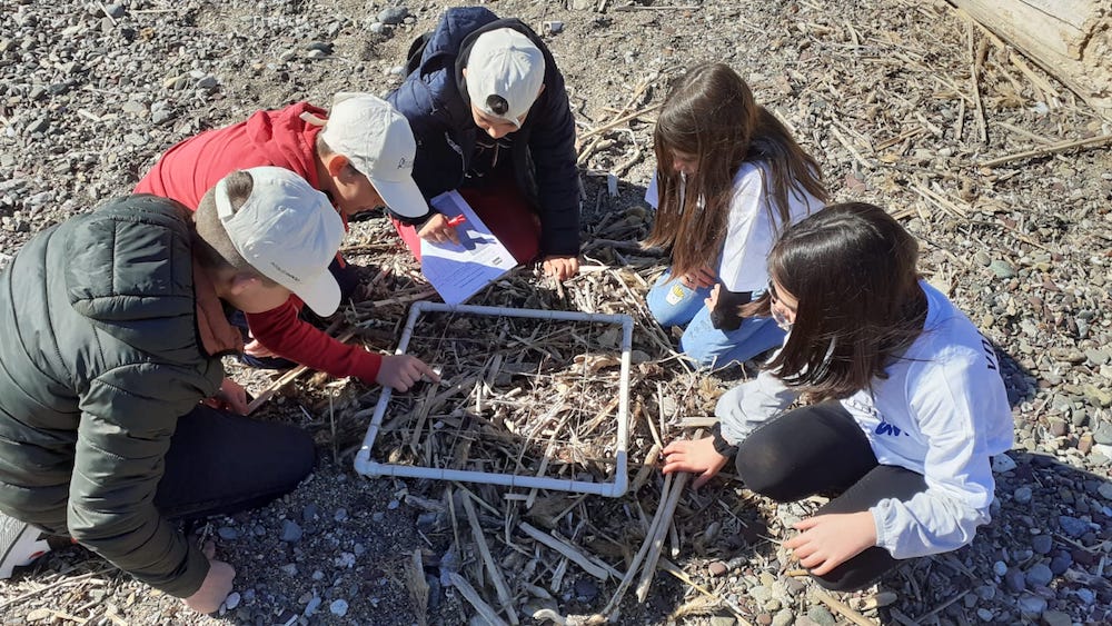 io sono ambiente parco bando isola del giglio giglionews