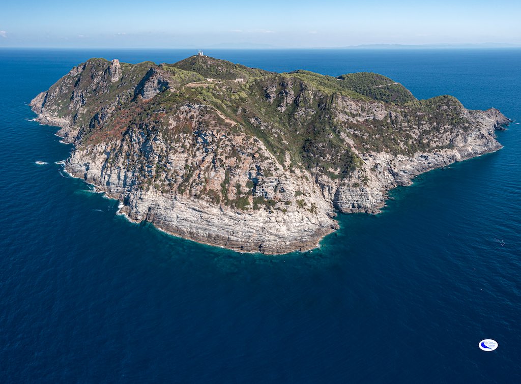 isola gorgona roberto ridi parco arcipelago toscano isola del giglio giglionews