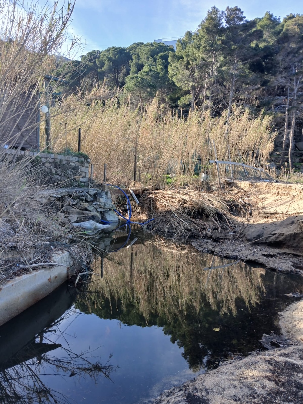 le_caldane_dopo_alluvione180525