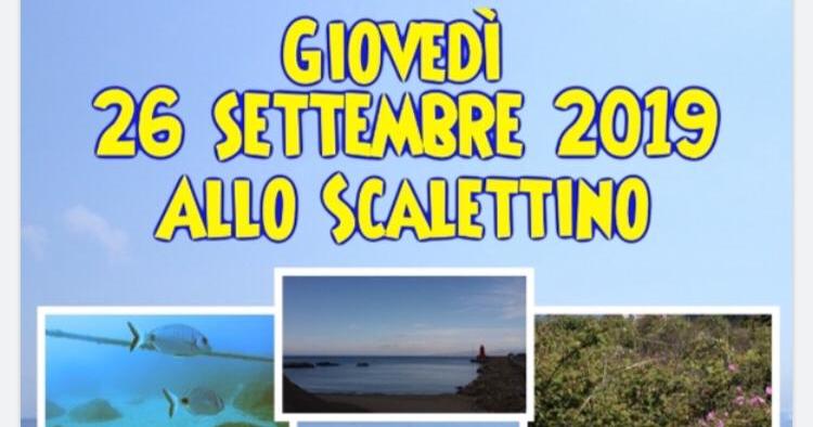 pulizia spiagge sentieri fondali consorzio imprese isola del giglio giglionews