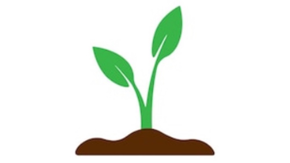 logo bandi mibelli isola del giglio giglionews