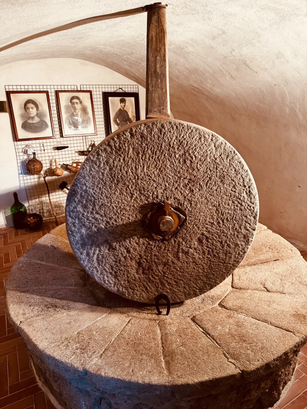 macina_frantoio_botti220926