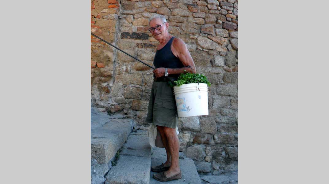 stoppetta mario brizzi ricordo isola del giglio giglionews