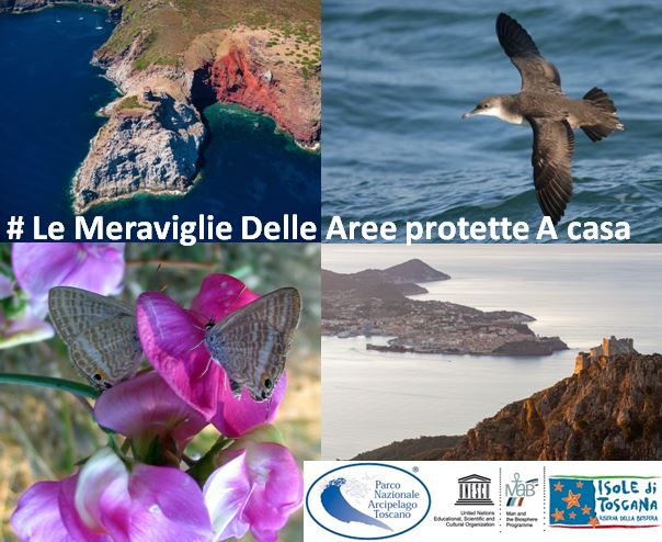 meraviglie aree protette parco arcipelago toscano isola del giglio giglionews