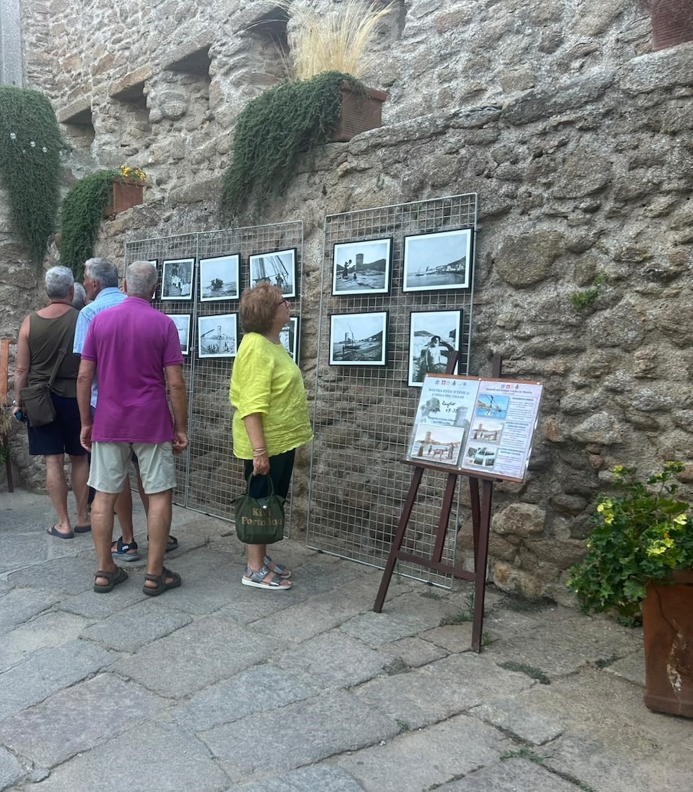 mostra_d_albertis130726