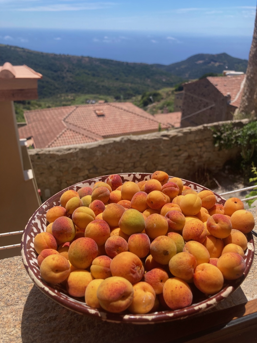 mugnache_albicocche_gigliesi150626_2
