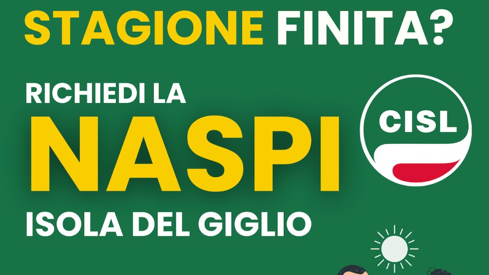 naspi_inas_cisl011025_rit