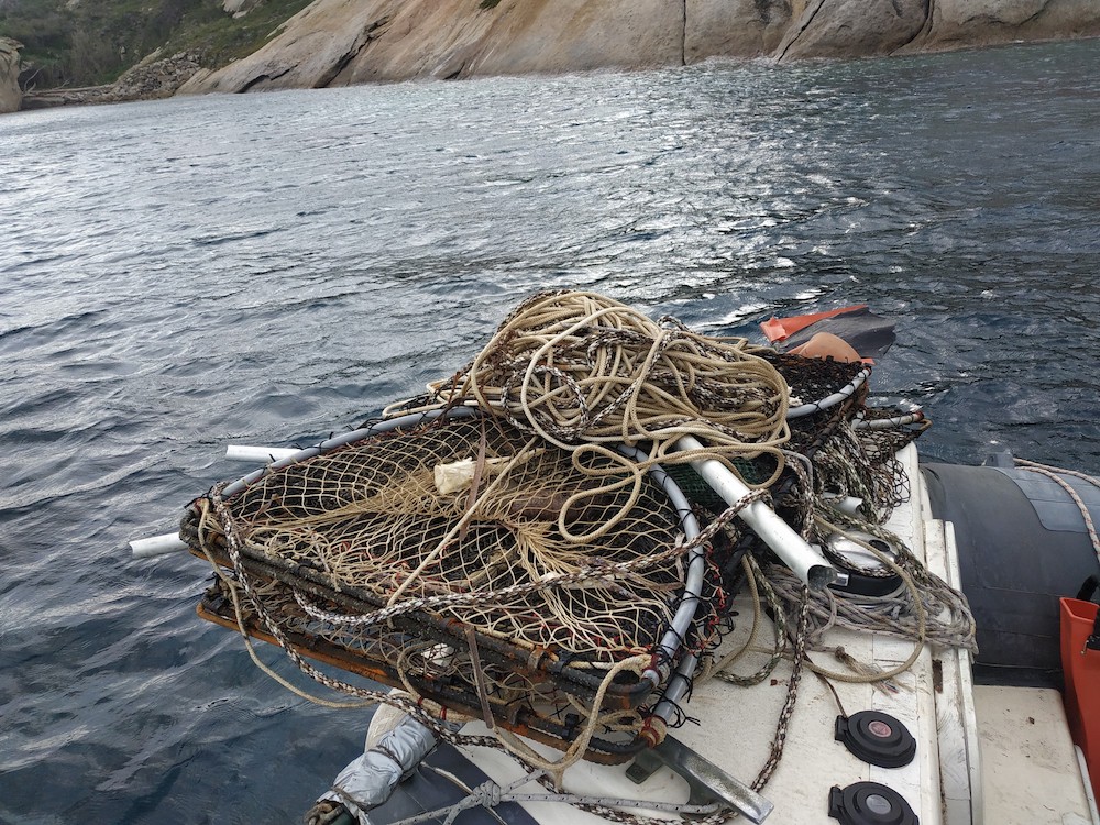 pulizia fondali marevivo isola del giglio giglionews 