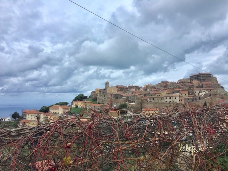 paese isola del giglio castello giglionews