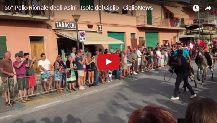 palio rionale asini rione centro isola del giglio giglionews san mamiliano