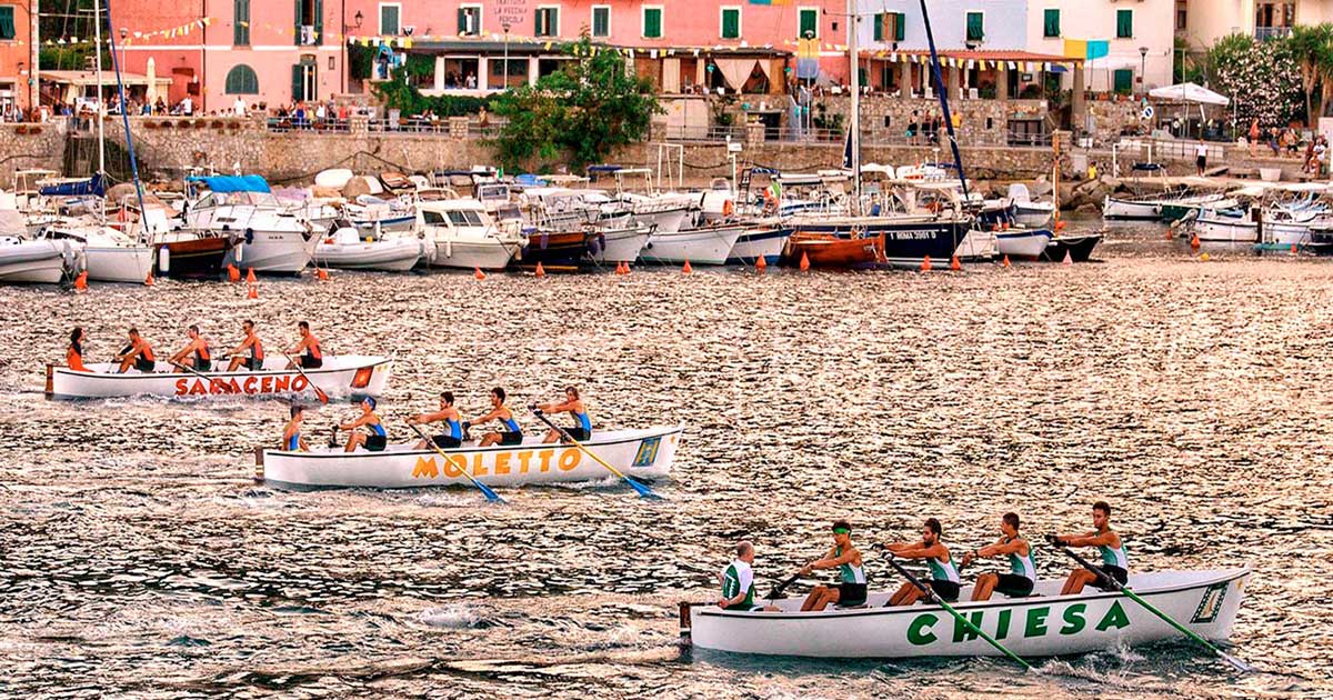 palio marinaro barche isola del giglio giglionews