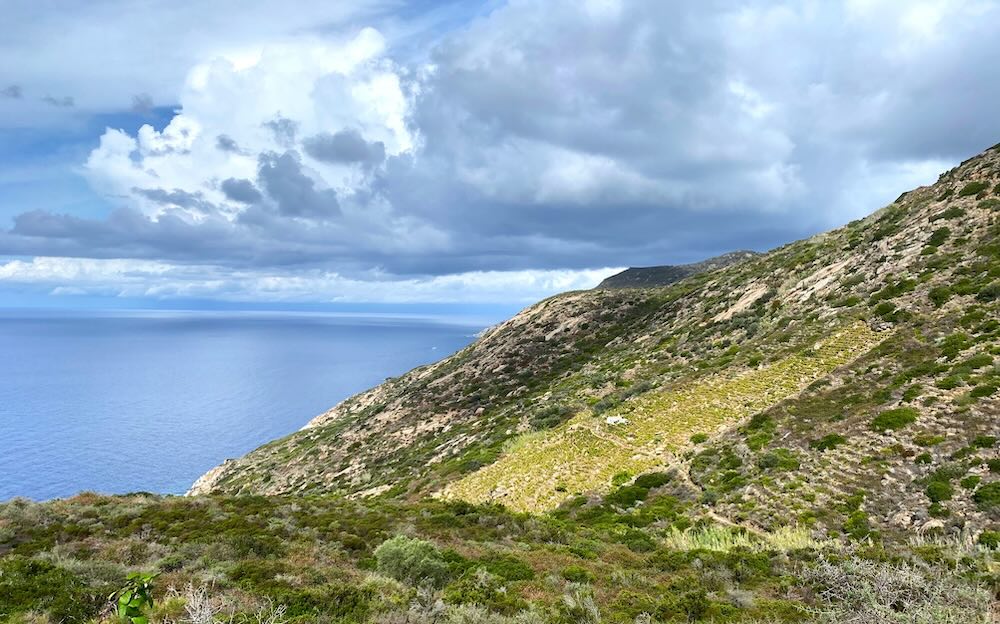 parco arcipelago toscano isola del giglio giglionews