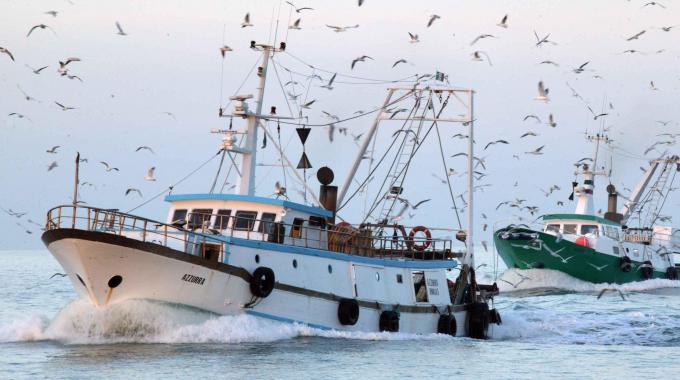 salvamare pescatori pescherecci isola del giglio giglionews