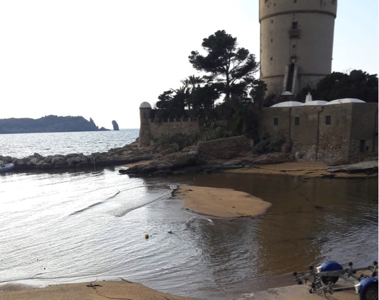 porticciolo lista landini isola del giglio campese giglionews