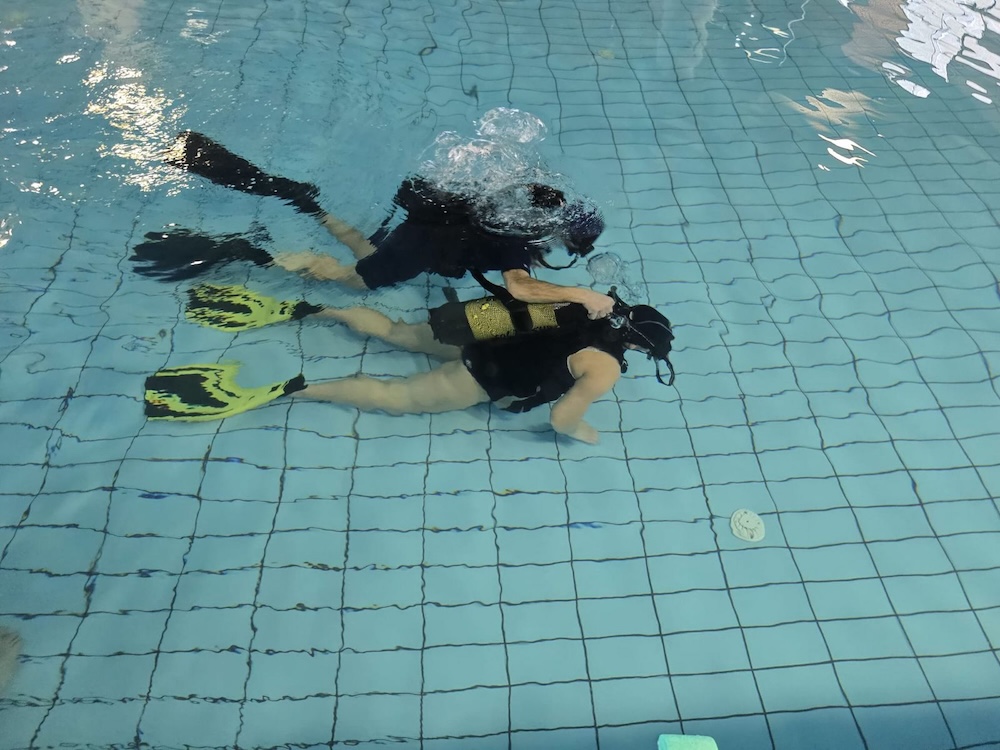 progetto_flyaut140326_7