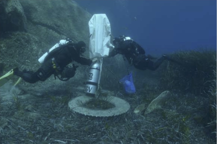 pulizia cale pro loco isola del giglio giglionews