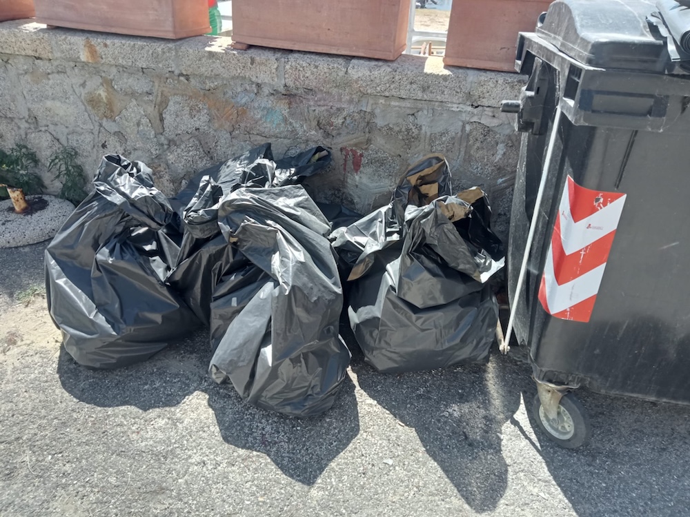 pulizia_cale_volontari160525_8