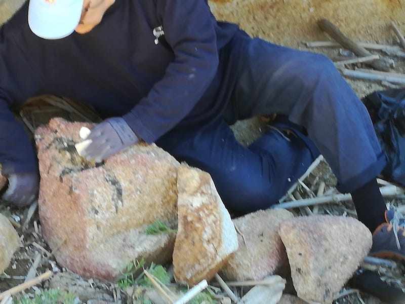 pulizia cala capo marino pro loco isola del giglio giglionews