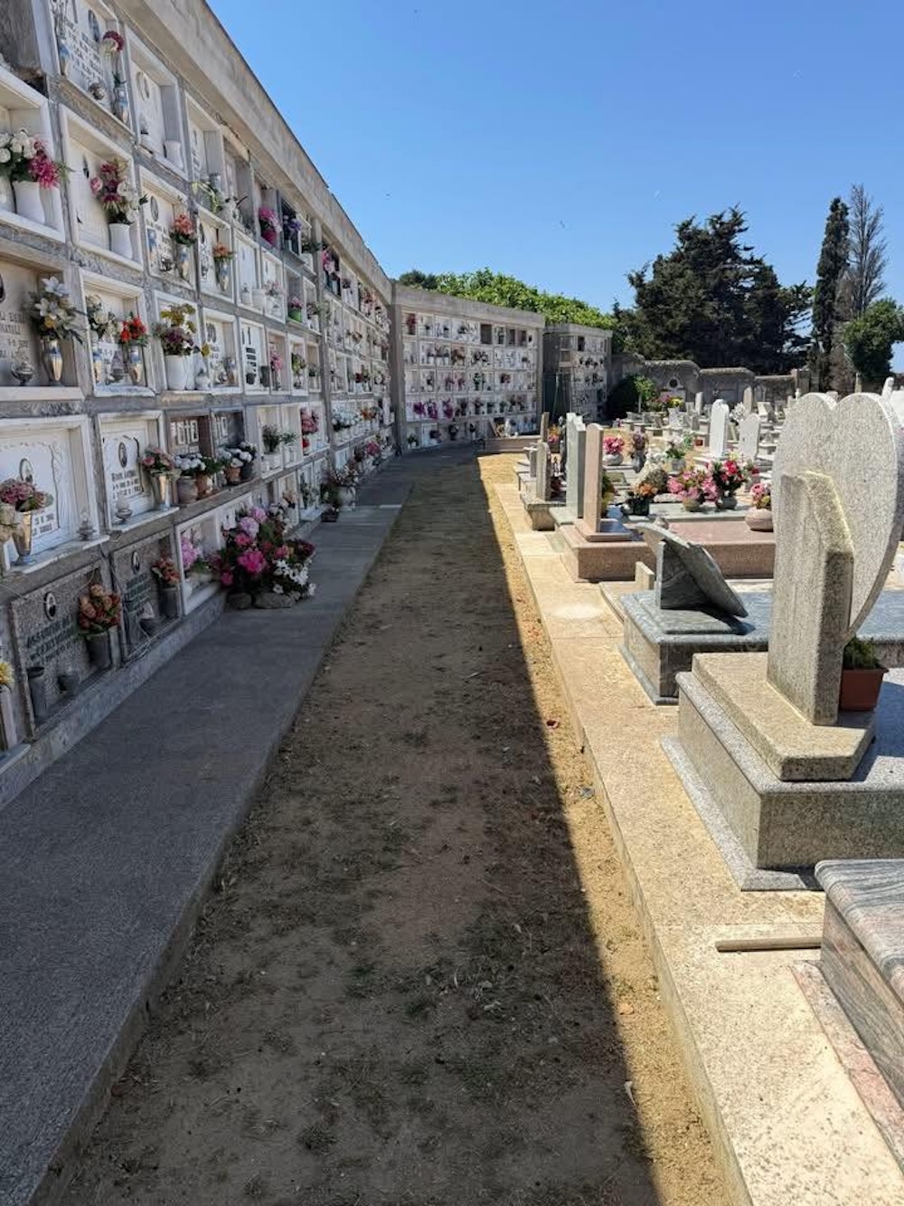 pulizia_cimitero_castello_270526_2