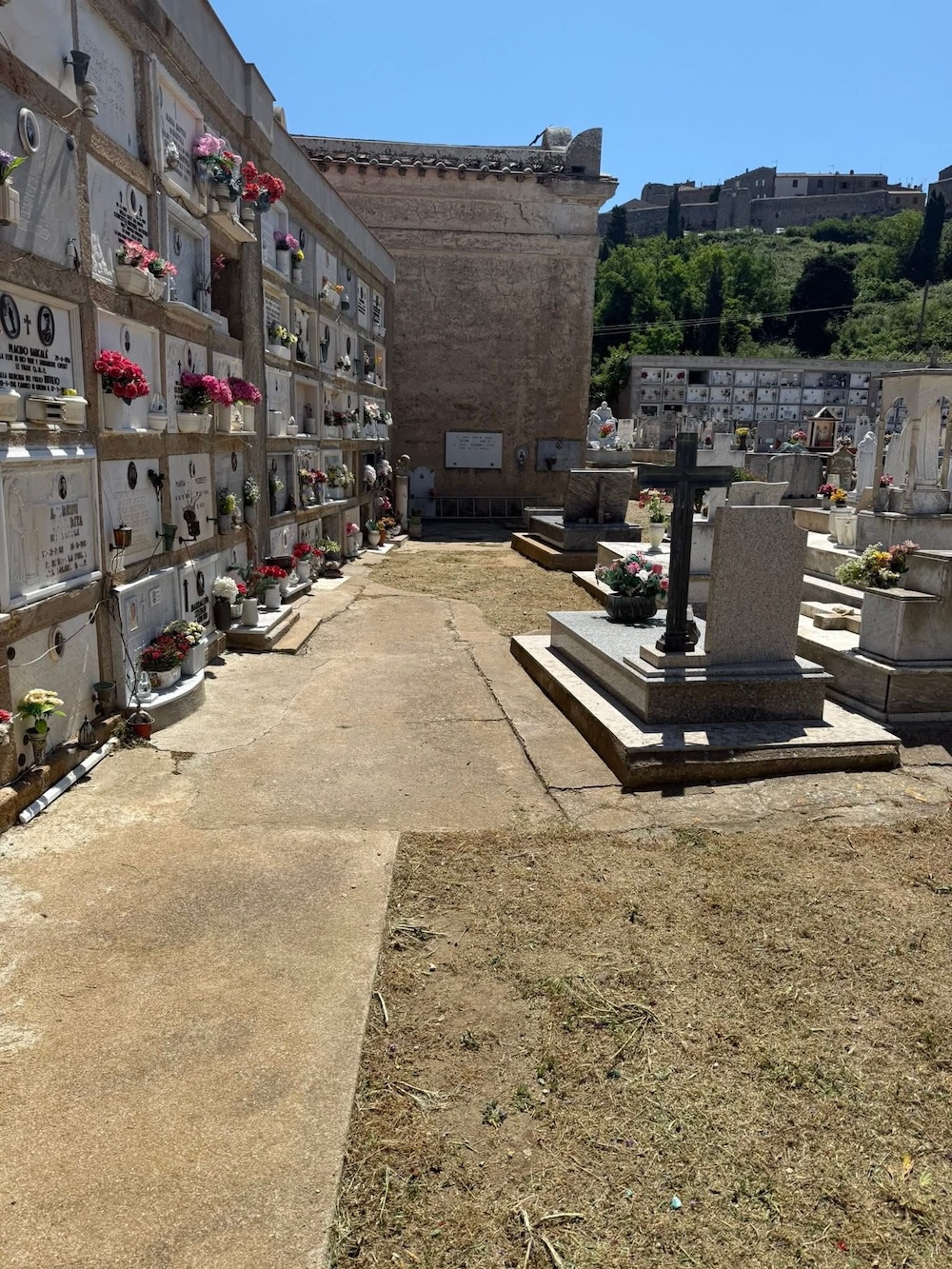 pulizia_cimitero_castello_270526_3