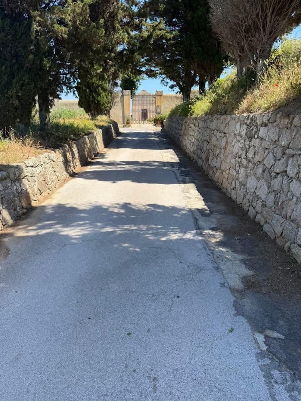 pulizia_cimitero_castello_270526_4