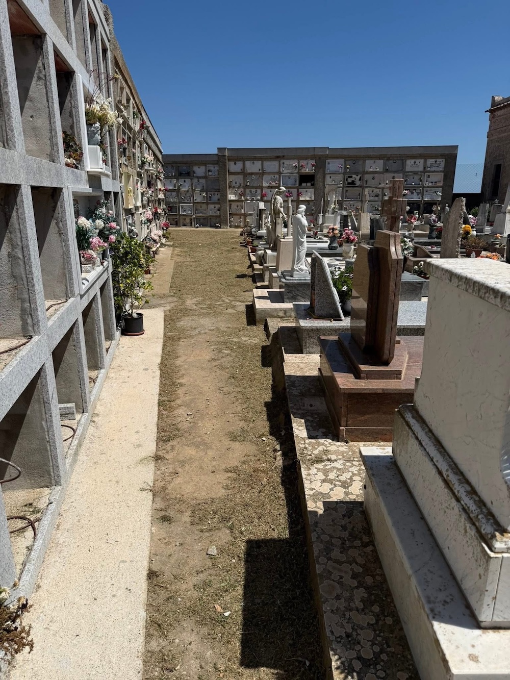 pulizia_cimitero_castello_270526_5