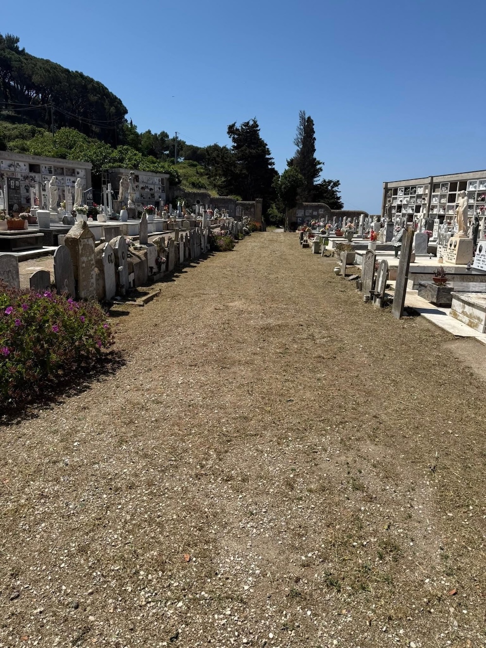 pulizia_cimitero_castello_270526_6