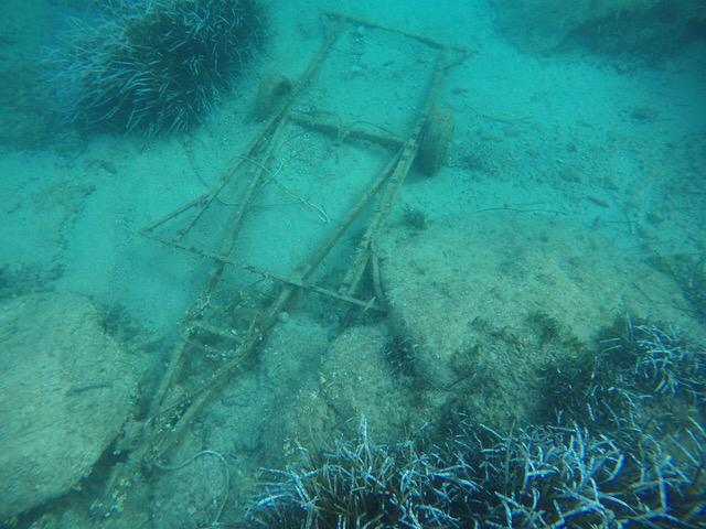 pulizia spiagge fondali isola del giglio giglionews