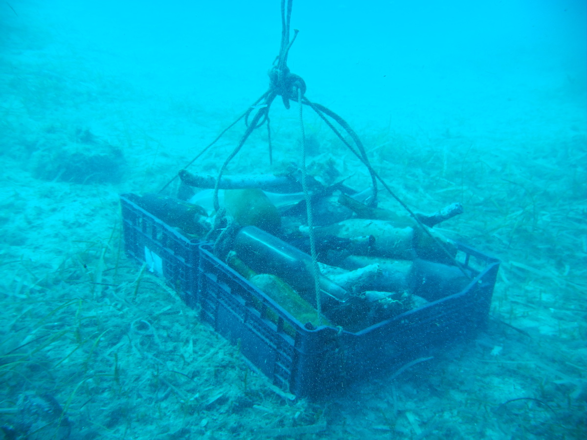 pulizia fondali giannutri isola del giglio giglionews