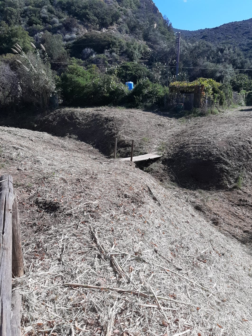 pulizia fossi consorzio bonifica comune isola del giglio giglionews