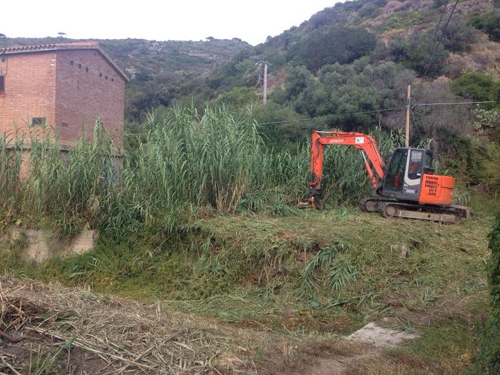 pulizia fossi comune isola del giglio giglionews